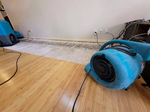 Professional Flood Damage Cleanup technician working in Osterville, MA